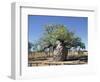 Old Hollow Boab Tree, Outside Derby, Western Australia, Australia-Richard Ashworth-Framed Photographic Print