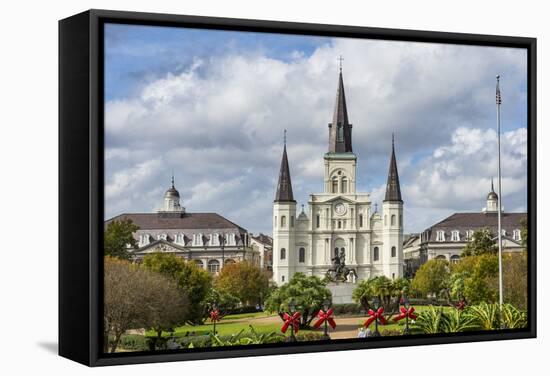 Old Horse Carts in Front of Jackson Square and the St. Louis Cathedral, New Orleans, Louisiana-Michael Runkel-Framed Stretched Canvas