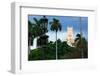 Old Hotel with Palm Trees in Havana-terekhov igor-Framed Photographic Print