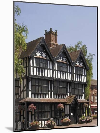 Old House, Built in 1621, Now a Museum, Hereford, Herefordshire, Midlands-David Hughes-Mounted Photographic Print