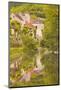 Old Houses of the Village of Noyers Sur Serein Reflecting in the River Serein-Julian Elliott-Mounted Photographic Print