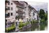 Old Houses on the Ljubljanica River Front, Old Town, Ljubljana, Slovenia, Europe-Matthew Williams-Ellis-Stretched Canvas