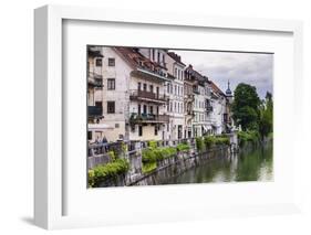 Old Houses on the Ljubljanica River Front, Old Town, Ljubljana, Slovenia, Europe-Matthew Williams-Ellis-Framed Photographic Print