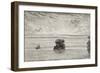 Old Illustration Of Amazon River Mouth, Brazil-marzolino-Framed Premium Giclee Print