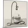 Old Illustration Of Laboratory Equipment For Water Boiling Under Vacuum-marzolino-Mounted Art Print