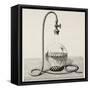 Old Illustration Of Laboratory Equipment For Water Boiling Under Vacuum-marzolino-Framed Stretched Canvas
