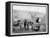 Old Irish Low-Back Car, 1901-R Welsh-Framed Stretched Canvas