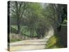 Old Iron Works Road, Lexington, Kentucky, USA-Adam Jones-Stretched Canvas