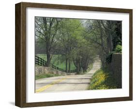 Old Iron Works Road, Lexington, Kentucky, USA-Adam Jones-Framed Premium Photographic Print