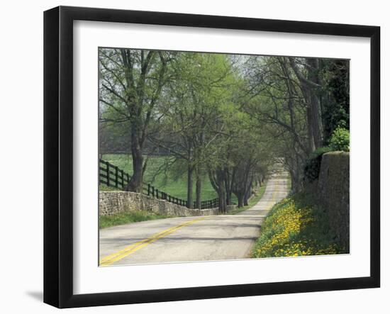 Old Iron Works Road, Lexington, Kentucky, USA-Adam Jones-Framed Premium Photographic Print