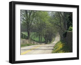 Old Iron Works Road, Lexington, Kentucky, USA-Adam Jones-Framed Premium Photographic Print
