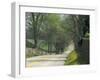 Old Iron Works Road, Lexington, Kentucky, USA-Adam Jones-Framed Premium Photographic Print