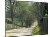 Old Iron Works Road, Lexington, Kentucky, USA-Adam Jones-Mounted Premium Photographic Print