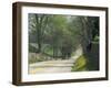 Old Iron Works Road, Lexington, Kentucky, USA-Adam Jones-Framed Photographic Print