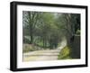 Old Iron Works Road, Lexington, Kentucky, USA-Adam Jones-Framed Photographic Print