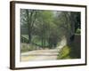 Old Iron Works Road, Lexington, Kentucky, USA-Adam Jones-Framed Photographic Print