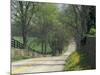 Old Iron Works Road, Lexington, Kentucky, USA-Adam Jones-Mounted Photographic Print