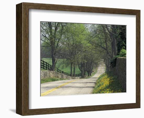 Old Iron Works Road, Lexington, Kentucky, USA-Adam Jones-Framed Photographic Print