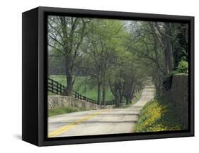 Old Iron Works Road, Lexington, Kentucky, USA-Adam Jones-Framed Stretched Canvas