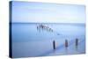 Old Jetty in the Caribbean Sea-Lee Frost-Stretched Canvas