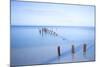 Old Jetty in the Caribbean Sea-Lee Frost-Mounted Photographic Print