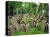 Old Jewish Cemetery, Josefov, Prague, Czech Republic, Europe-Upperhall Ltd-Stretched Canvas