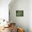 Old Jewish Cemetery, Josefov, Prague, Czech Republic, Europe-Upperhall Ltd-Framed Stretched Canvas displayed on a wall