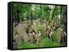 Old Jewish Cemetery, Josefov, Prague, Czech Republic, Europe-Upperhall Ltd-Framed Stretched Canvas