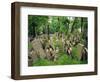 Old Jewish Cemetery, Josefov, Prague, Czech Republic, Europe-Upperhall Ltd-Framed Photographic Print