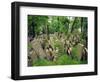 Old Jewish Cemetery, Josefov, Prague, Czech Republic, Europe-Upperhall Ltd-Framed Photographic Print