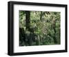 Old Jewish Cemetery, Josefov, Prague, Czech Republic-Upperhall-Framed Photographic Print