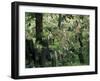 Old Jewish Cemetery, Josefov, Prague, Czech Republic-Upperhall-Framed Photographic Print