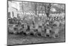 Old Jewish Cemetery, Remuh Synagogue, Krakow-demerzel21-Mounted Photographic Print