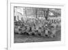 Old Jewish Cemetery, Remuh Synagogue, Krakow-demerzel21-Framed Photographic Print