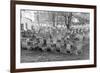 Old Jewish Cemetery, Remuh Synagogue, Krakow-demerzel21-Framed Photographic Print