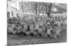 Old Jewish Cemetery, Remuh Synagogue, Krakow-demerzel21-Mounted Photographic Print