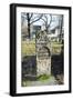 Old Jewish Cemetery, Remuh Synagogue, Krakow-demerzel21-Framed Photographic Print