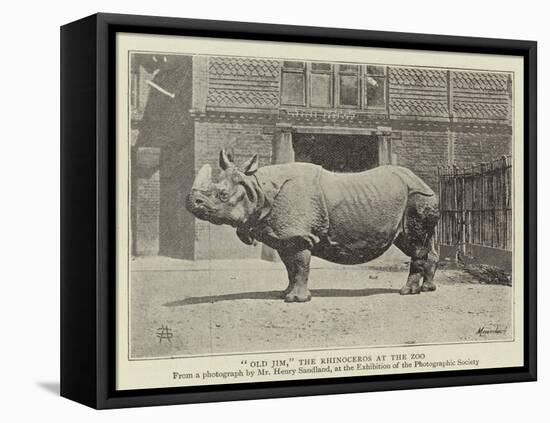 Old Jim, the Rhinoceros at the Zoo-null-Framed Stretched Canvas