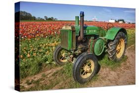 Old John Deere, Wooden Shoe Tulip Farm, Woodburn, Oregon, USA-Rick A^ Brown-Stretched Canvas