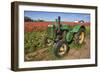 Old John Deere, Wooden Shoe Tulip Farm, Woodburn, Oregon, USA-Rick A^ Brown-Framed Photographic Print