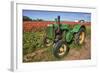 Old John Deere, Wooden Shoe Tulip Farm, Woodburn, Oregon, USA-Rick A^ Brown-Framed Photographic Print