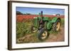 Old John Deere, Wooden Shoe Tulip Farm, Woodburn, Oregon, USA-Rick A^ Brown-Framed Photographic Print