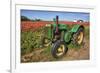 Old John Deere, Wooden Shoe Tulip Farm, Woodburn, Oregon, USA-Rick A^ Brown-Framed Photographic Print