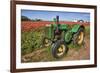 Old John Deere, Wooden Shoe Tulip Farm, Woodburn, Oregon, USA-Rick A^ Brown-Framed Photographic Print