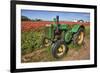 Old John Deere, Wooden Shoe Tulip Farm, Woodburn, Oregon, USA-Rick A^ Brown-Framed Photographic Print