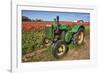 Old John Deere, Wooden Shoe Tulip Farm, Woodburn, Oregon, USA-Rick A^ Brown-Framed Photographic Print