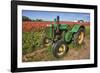 Old John Deere, Wooden Shoe Tulip Farm, Woodburn, Oregon, USA-Rick A^ Brown-Framed Photographic Print