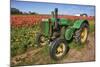 Old John Deere, Wooden Shoe Tulip Farm, Woodburn, Oregon, USA-Rick A^ Brown-Mounted Photographic Print