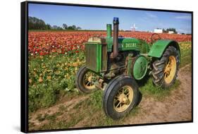 Old John Deere, Wooden Shoe Tulip Farm, Woodburn, Oregon, USA-Rick A^ Brown-Framed Stretched Canvas