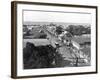 Old King Street Looking South, Kingston, Jamaica, C1905-Adolphe & Son Duperly-Framed Photographic Print